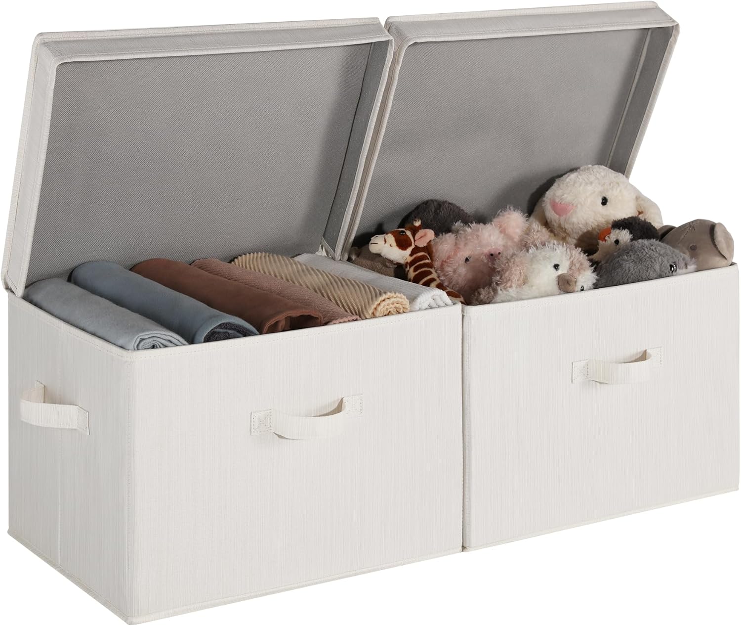 Fabric Storage Bins with Lid, 2-Pack